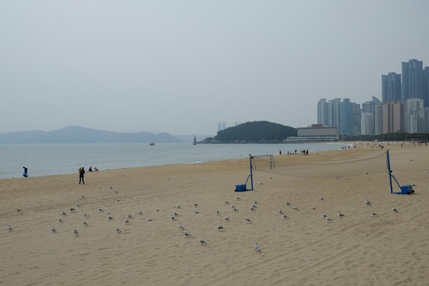 Famosa playa de haeundae en busan corea del sur