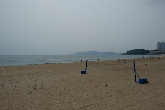 Famosa playa de haeundae en busan corea del sur