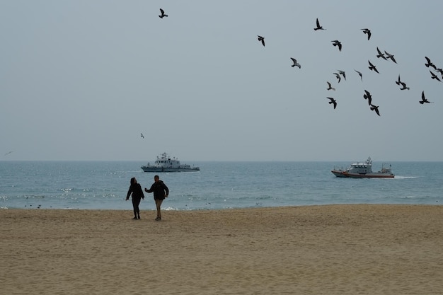 Famosa playa de haeundae en busan corea del sur