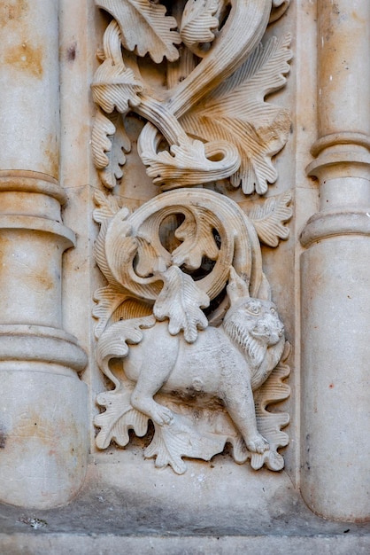 El famoso lince de la Catedral de Salamanca