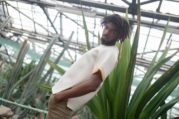 Famoso modelo masculino afro-americano posando perto de palmeiras na estufa
