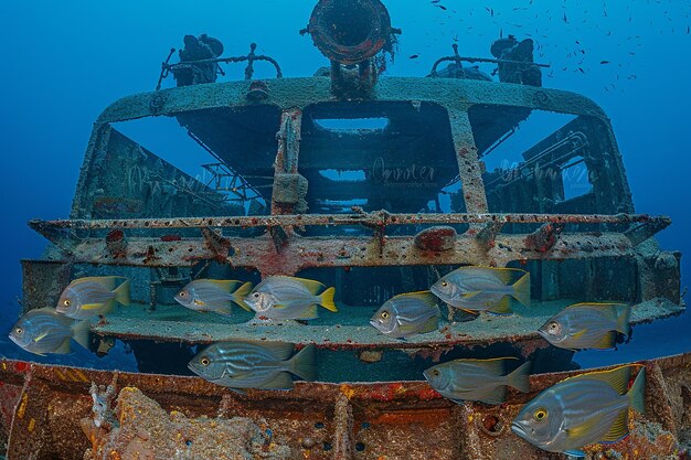 Foto el famoso naufragio del barco liberty en tulamben