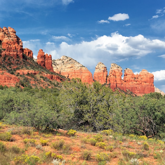 Famoso paisaje salvaje cerca de Sedona