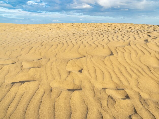 Famoso parque natural dunas de Maspalomas em Gran Canaria ao pôr do sol Ilhas Canárias Espanha