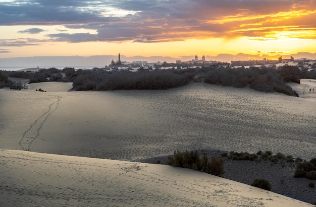 Famoso parque natural dunas de Maspalomas en Gran Canaria al atardecer Islas Canarias España