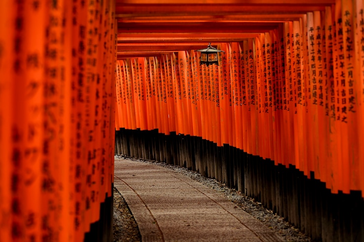 Foto famoso portão vermelho japonês chamado torii, santuário fushimi inari, kyoto. japão