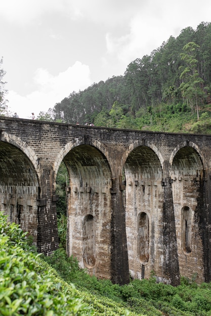 El famoso puente de nueve arcos del ferrocarril en la jungla en Sri Lanka