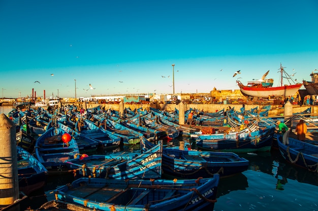 Famosos barcos azuis no porto de essaouira.