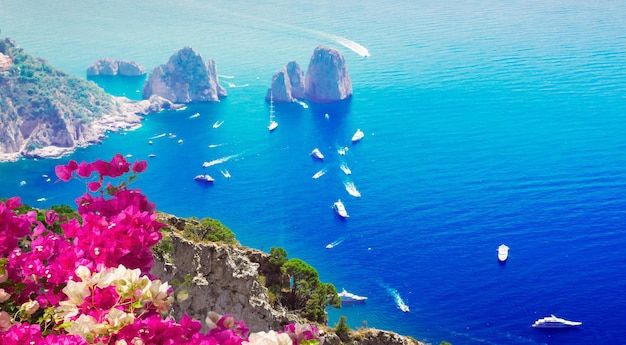 Famosos penhascos de Faraglioni e mar Tirreno com flores Ilha de Capri Itália formato de banner web