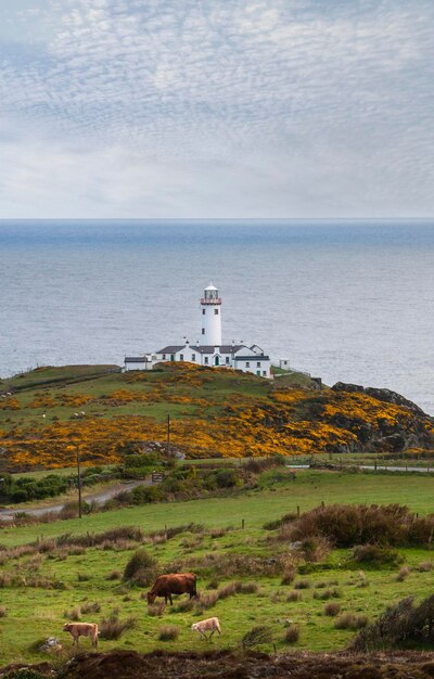 Fanad Head Leuchtturm Donegal Irland