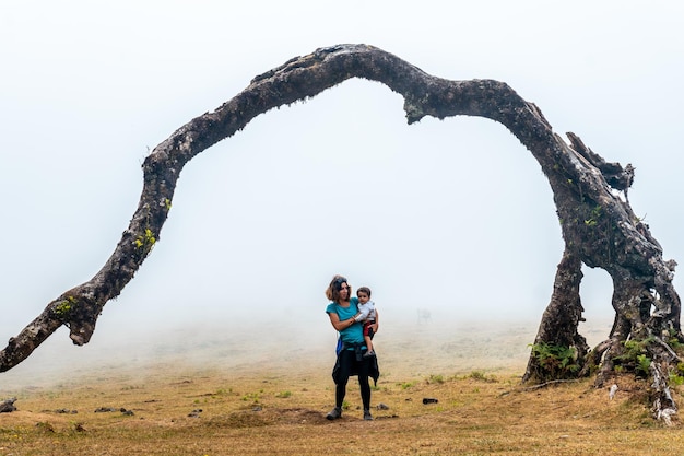 Fanal-Wald mit Nebel auf Madeira tausendjährige Lorbeerbäume eine Mutter mit ihrem Baby unter einem Baum