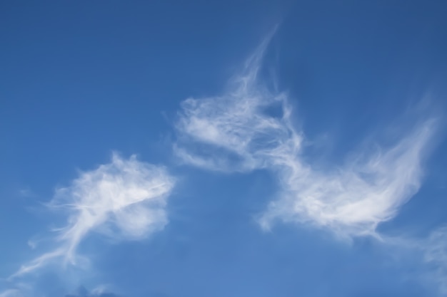 Fantasiewolkenkreatur in Form von Dinosaurier und Wal am Himmel, schneeweiße Wolken am Himmel in Form von Tieren