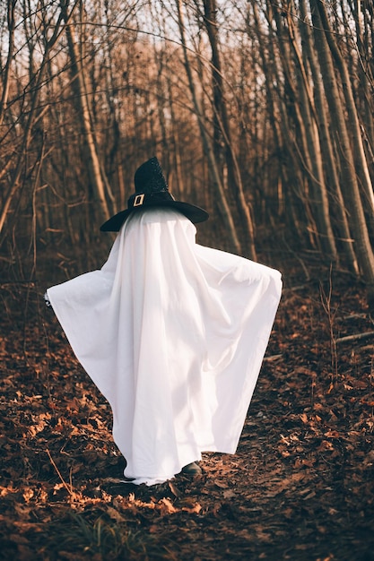 Fantasma de Halloween en el bosque Fiesta de Halloween Mascarada Un artículo sobre Halloween Un artículo sobre un fantasma Misticismo