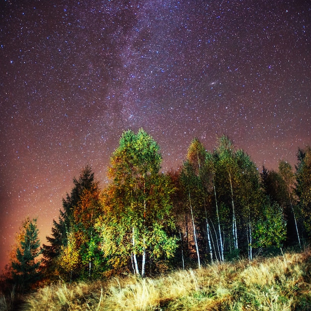 Fantástica lluvia de meteoritos de invierno y las montañas nevadas.