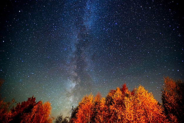 Fantástica lluvia de meteoritos de invierno y las montañas nevadas.