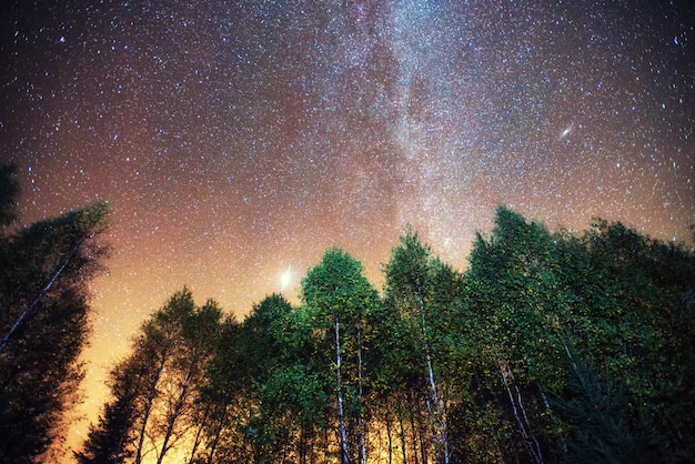 Fantástica lluvia de meteoritos de invierno y las montañas nevadas.