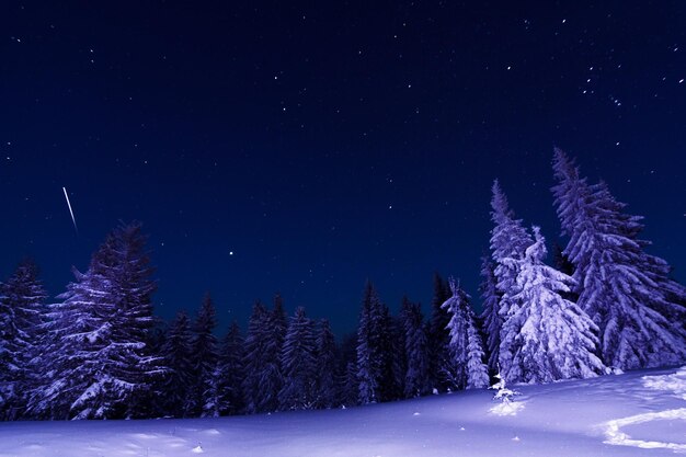 Fantástica paisagem de inverno Cárpatos Ucrânia Europa Beleza mundial