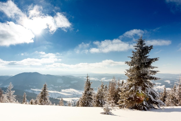 Fantástica paisagem de inverno Céu azul Cárpatos Ucrânia Europa Beleza mundial