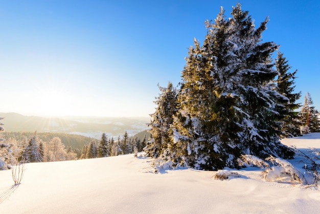 Fantástica paisagem de inverno Céu azul Cárpatos Ucrânia Europa Beleza mundial