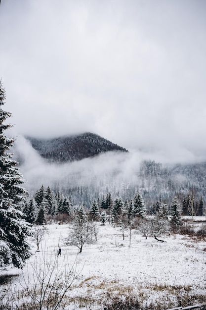 Fantástica paisagem de inverno. Céu nublado dramático. Colagem criativa. Mundo da beleza.