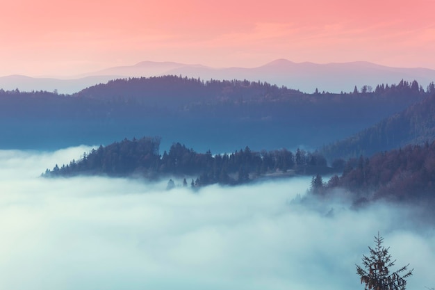 Fantástica vista de las cimas de la cordillera por encima de las nubes