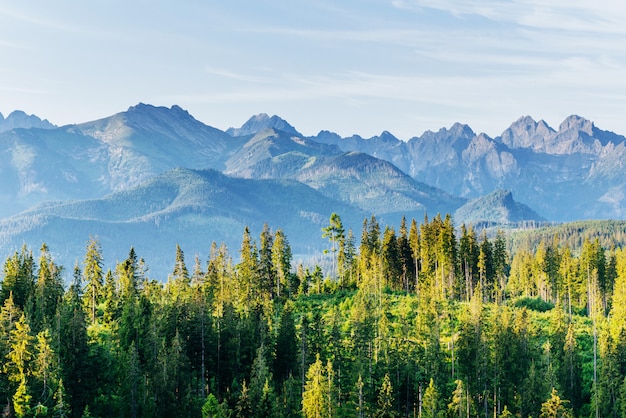 Fantásticas montañas y paisaje forestal