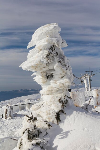 Fantástico de la escultura en la montaña en la nieve, Israel