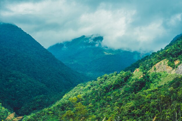 Fantástico paisaje de bosques y montañas Dalat Vietnam Atmósfera frescura y altitud