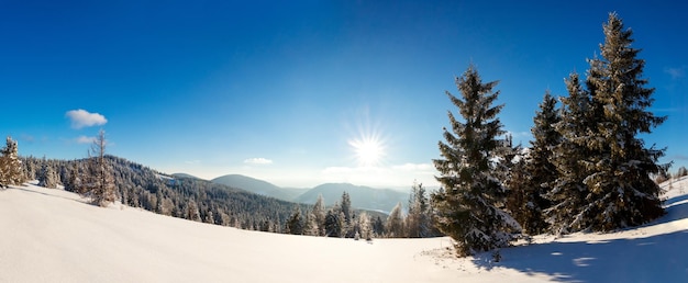 Fantástico paisaje invernal Cielo azul Cárpatos Ucrania Europa Mundo de belleza