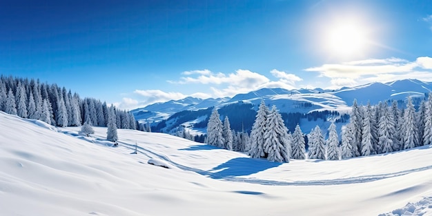Fantástico paisaje invernal
