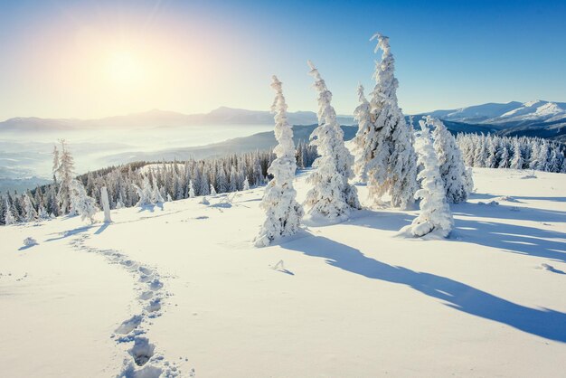 Foto fantástico paisaje de invierno y caminos pisoteados al atardecer que dejan