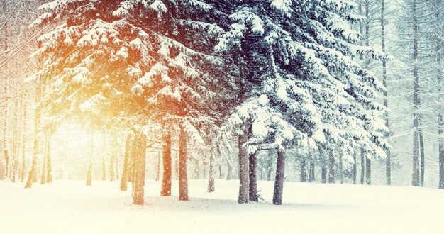 Fantástico Paisaje Mágico Cuento Hadas Con Vista Árbol Navidad