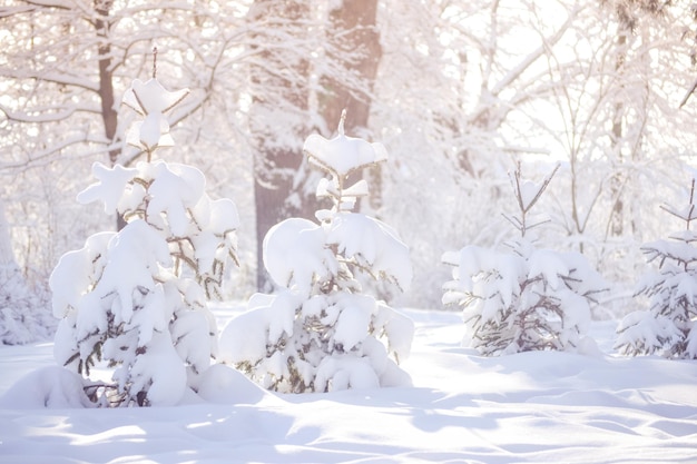 Fantástico Paisaje Mágico Cuento Hadas Con Vista Árbol Navidad