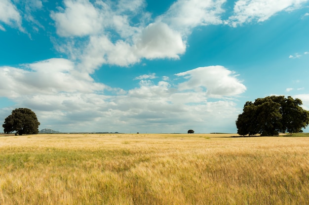 Fantástico paisaje primaveral con una sola persona.