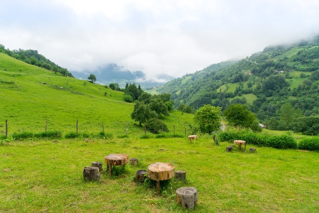 Fantastische Bergwaldlandschaft in Wolken, Nebel oder Nebel. Giresun Highland's - Türkei