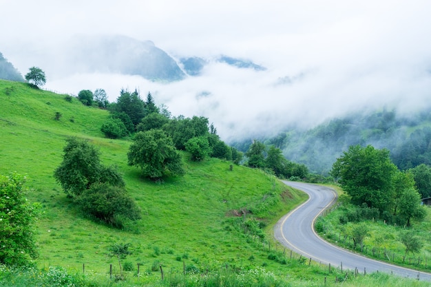 Fantastische Bergwaldlandschaft in Wolken, Nebel oder Nebel. Giresun Highland's - Türkei