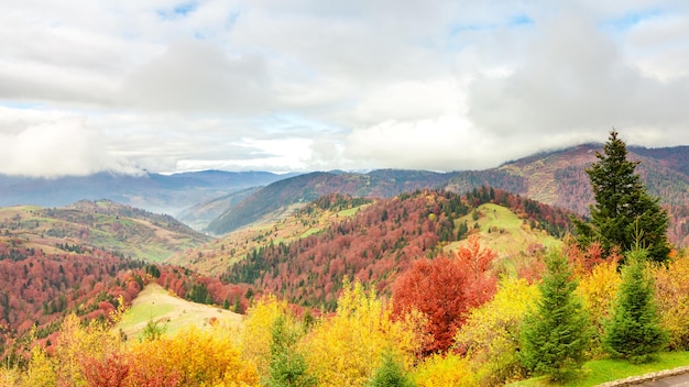 Fantastische bunte Berglandschaft mit Wolke Karpaten der Ukraine