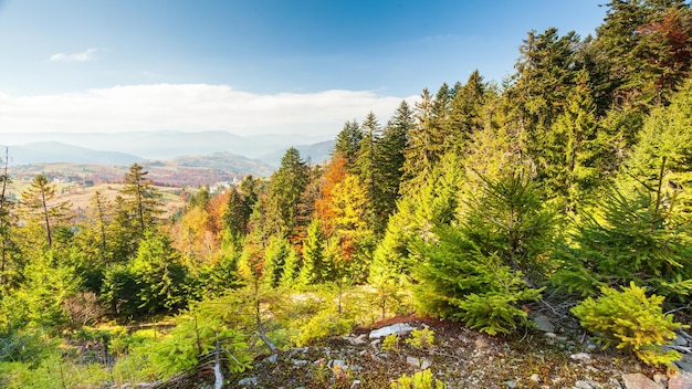 Fantastische Luftaufnahmen eines mit Nadelwald bedeckten Bergfelsens Vogelperspektive Karpaten-Nationalpark Ukraine Europa Filmische Drohnenaufnahme Gefilmt in UHD 4k-Video Schönheit Erde