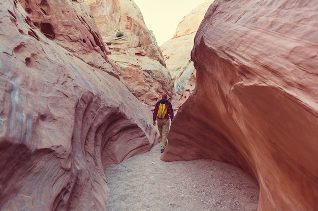 Fantastische Szene des glücklichen Canyons. Ungewöhnliche bunte Sandsteinformationen in den Wüsten Utahs sind ein beliebtes Ziel für Wanderer.