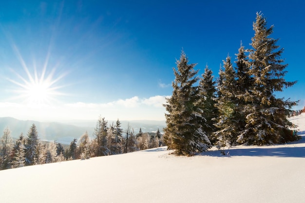 Fantastische Winterlandschaft Blauer Himmel Karpaten Ukraine Europa Welt der Schönheit