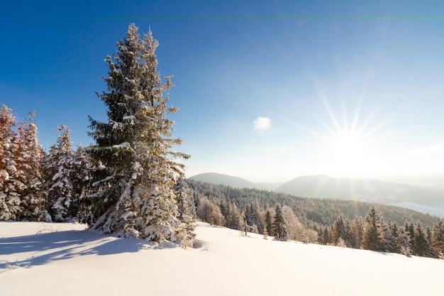 Fantastische Winterlandschaft Blauer Himmel Karpaten Ukraine Europa Welt der Schönheit