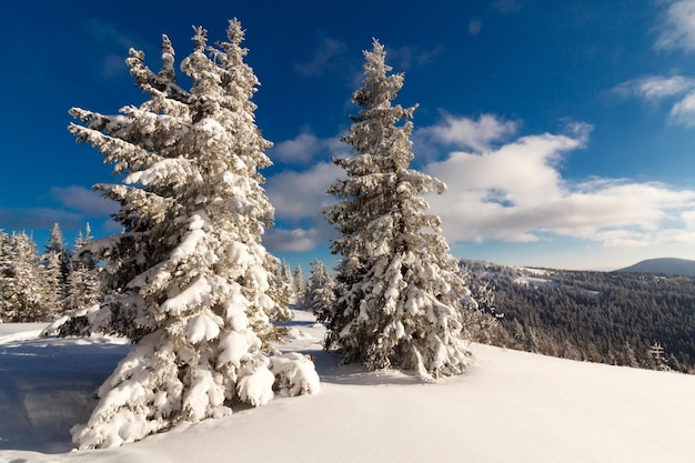 Fantastische Winterlandschaft Blauer Himmel Karpaten Ukraine Europa Welt der Schönheit