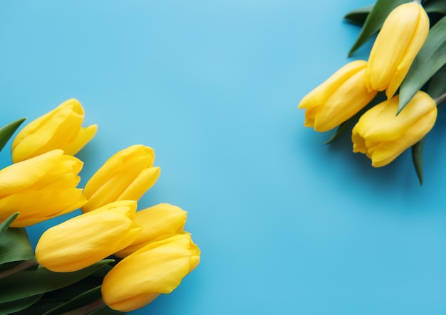 Farben der ukrainischen Flagge in Tulpenblume Gelbe Tulpen auf blauem Hintergrund