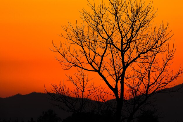 farbenfroher dramatischer Himmel mit Wolken beim Sonnenuntergang