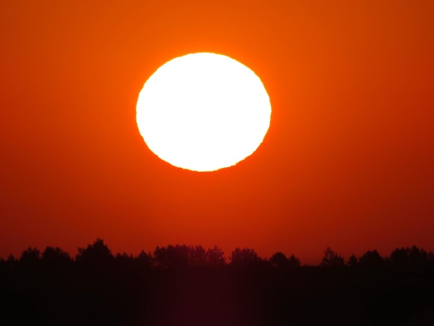 Farbenfroher feuerroter Sonnenuntergang und Solarsäuleneffekt Blick auf Stromleitungen und Kabel bei Sonnenuntergang