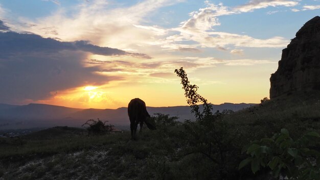 Farbenfroher Sonnenuntergang in den Bergen mit Blick auf die Vororte von Kislowodsk. Wolken, Sonnenstrahlen. Koltso