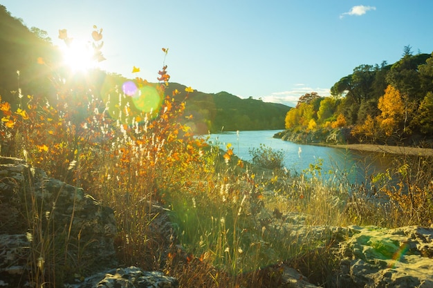 Foto farbenreiche herbstlandschaft gegen das licht fotografie in der nähe des gardon-flusses in frankreich