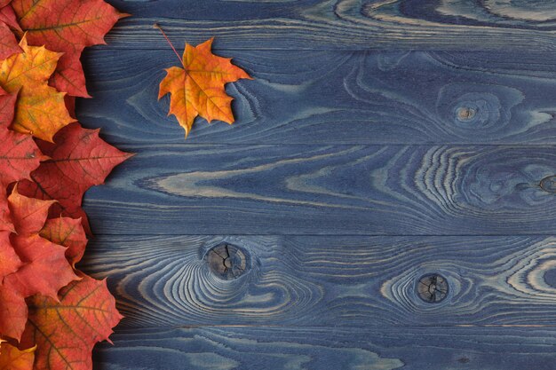 Farbige Blätter auf einem Holztisch, Herbstblatt