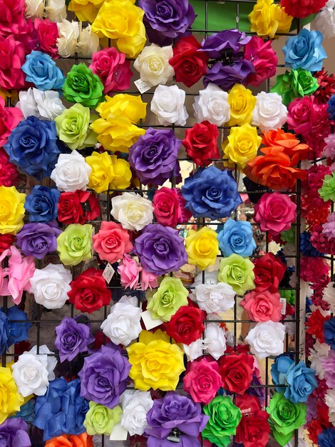 Foto farbige blumen auf der messe von malaga schöne blumen