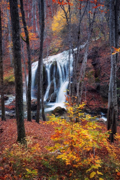 Farbige Landschaft mit wunderschönem Wasserfall in den Bergen